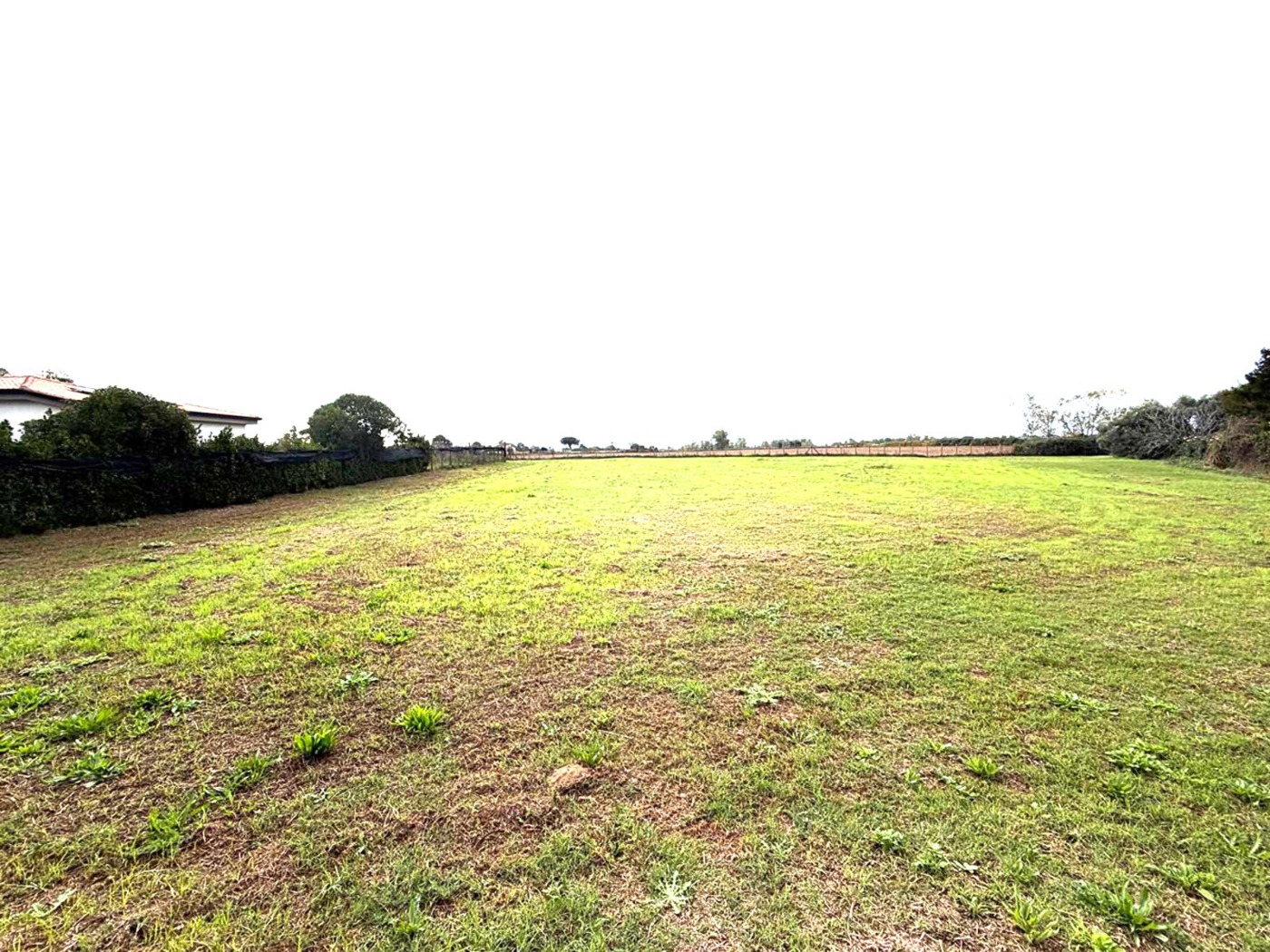 Terreno Agricolo in vendita a Aprilia