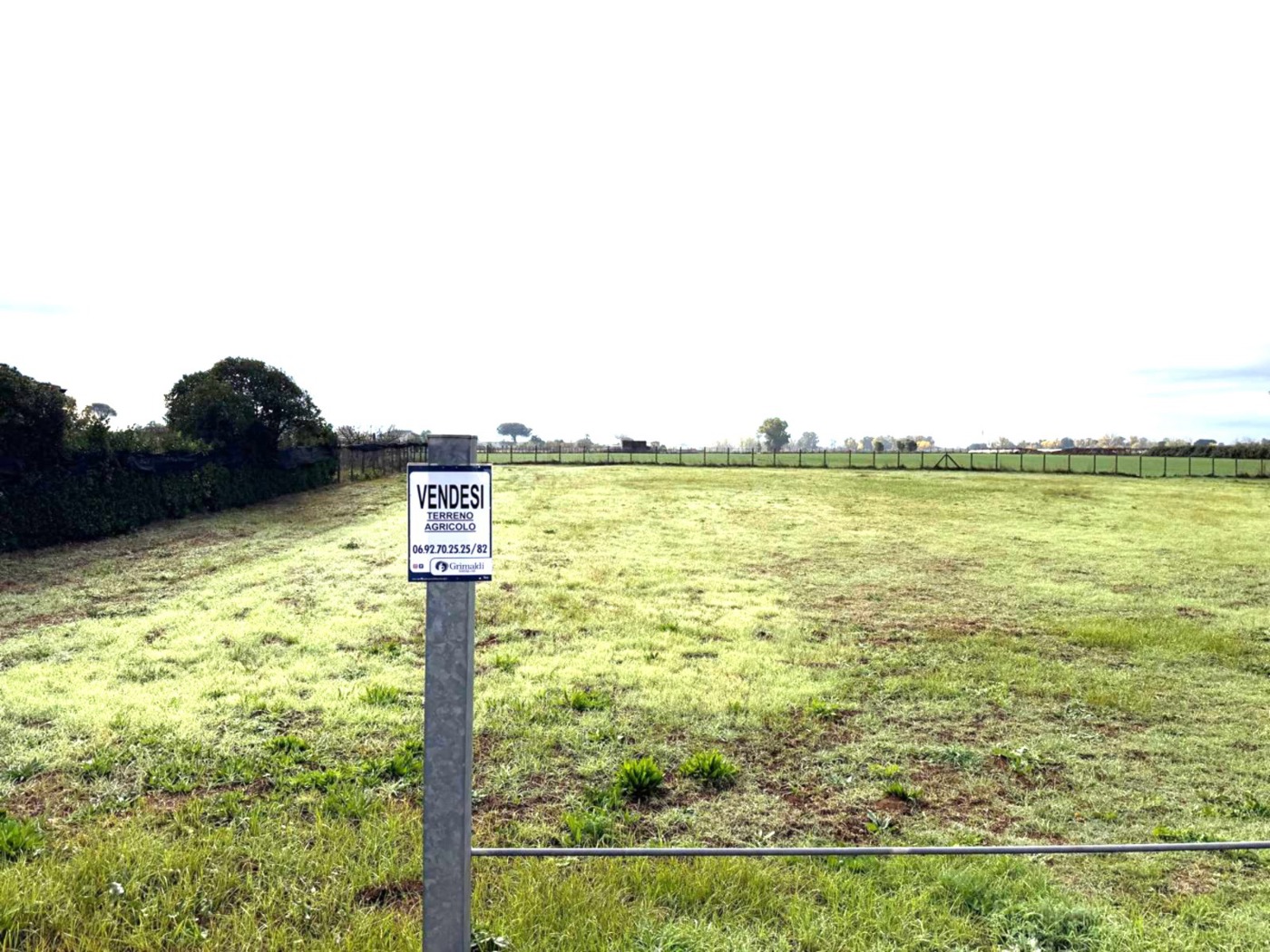 Terreno Agricolo in vendita a Aprilia