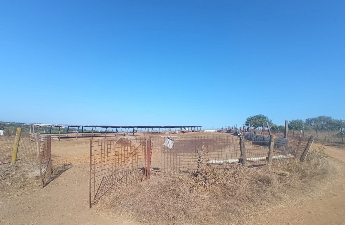 Rustico in vendita a Aprilia