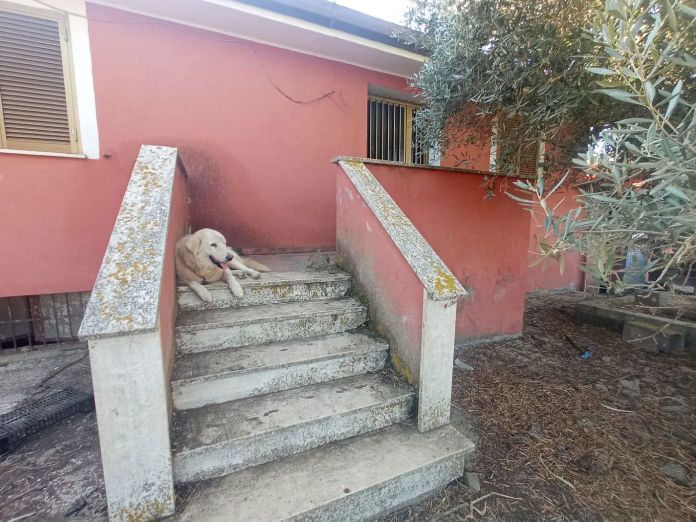 Rustico in vendita a Aprilia