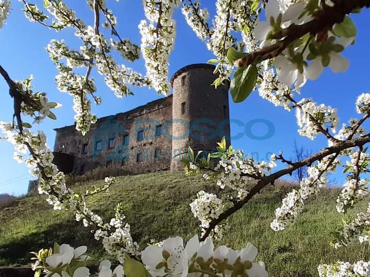 Casa indipendente con giardino in localit santa maria le cassorane 17, Calice al Cornoviglio