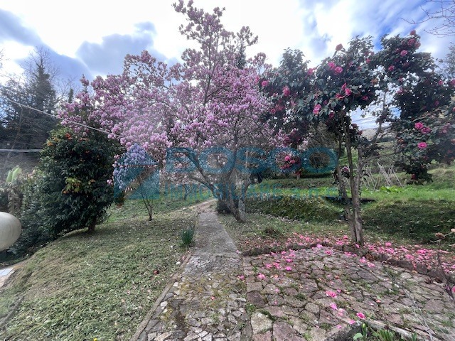 Casa indipendente in vendita in via ii giugno 46, Follo