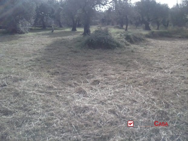 Terreno in vendita a Messina