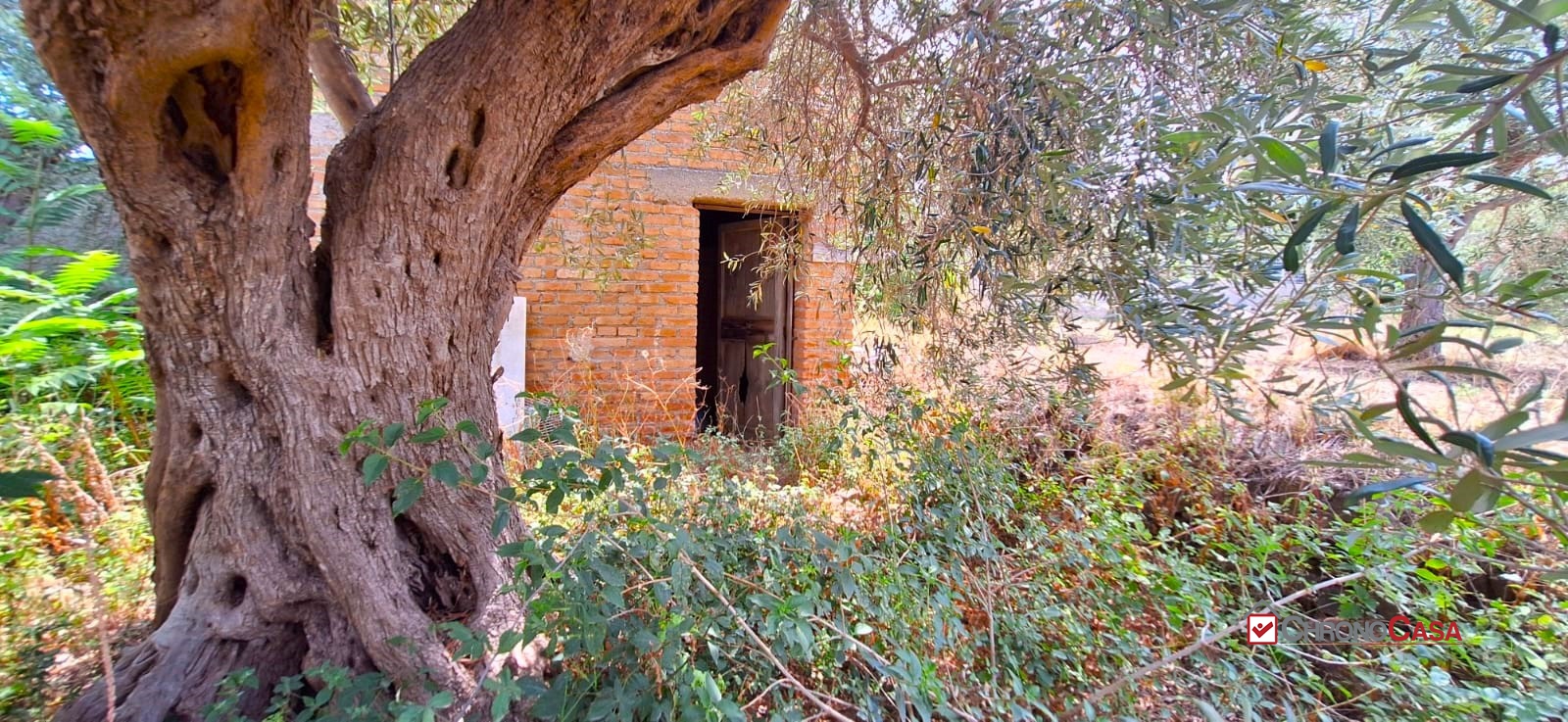 Rustico in vendita a Messina