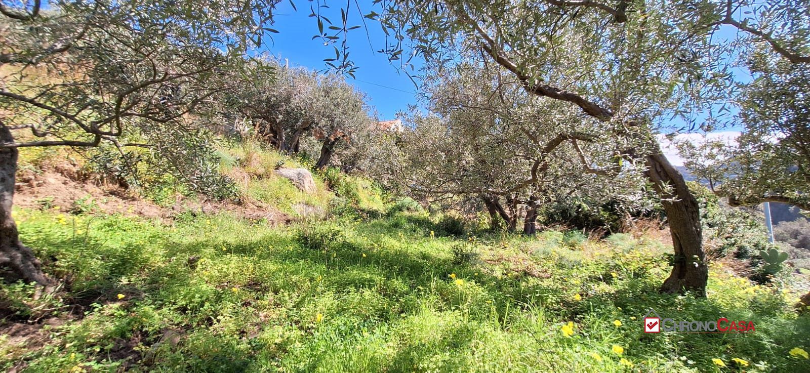 Terreno in vendita a Messina