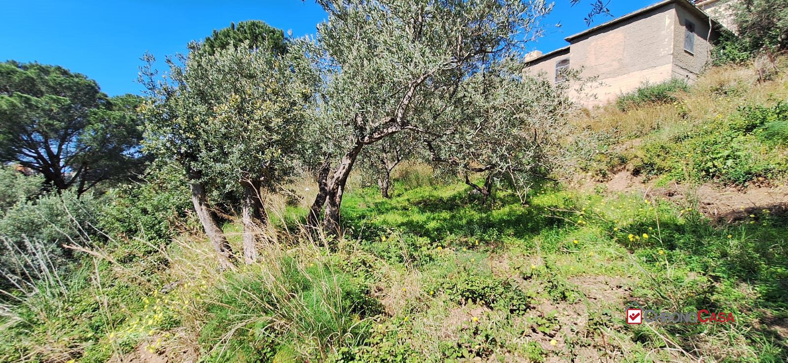 Terreno in vendita a Messina