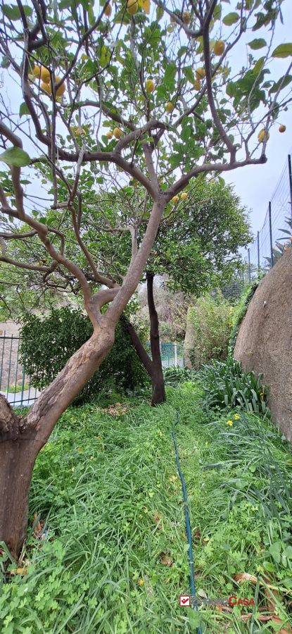 Casa indipendente in vendita a Messina