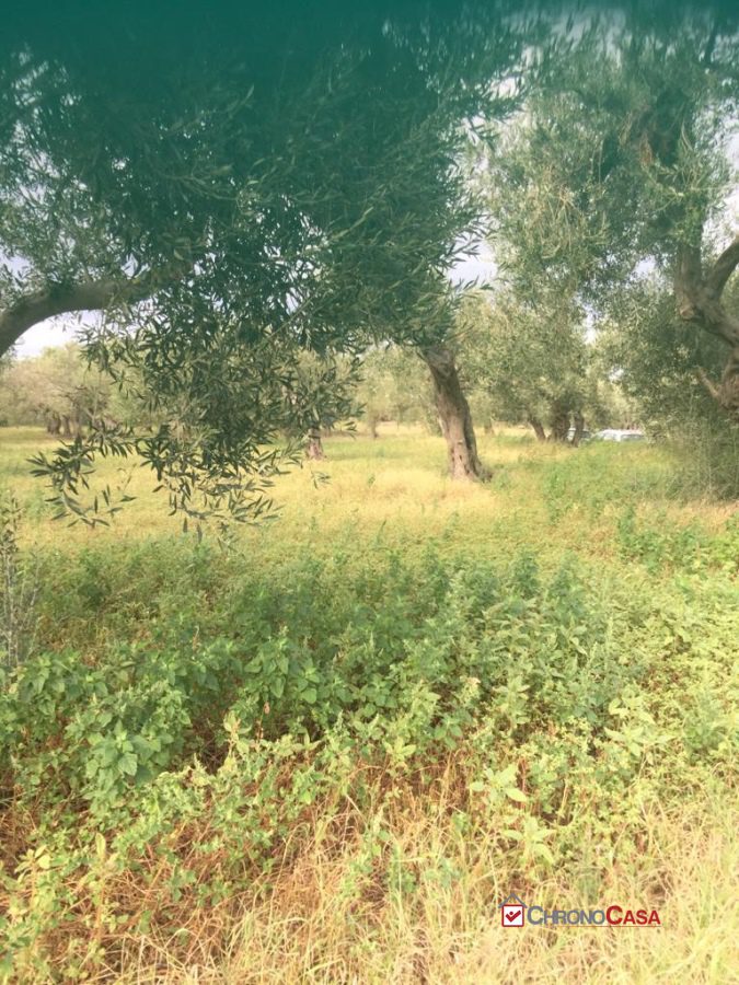 Terreno in vendita a Messina