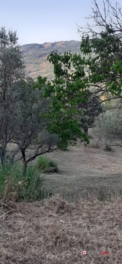 Terreno in vendita a Caronia