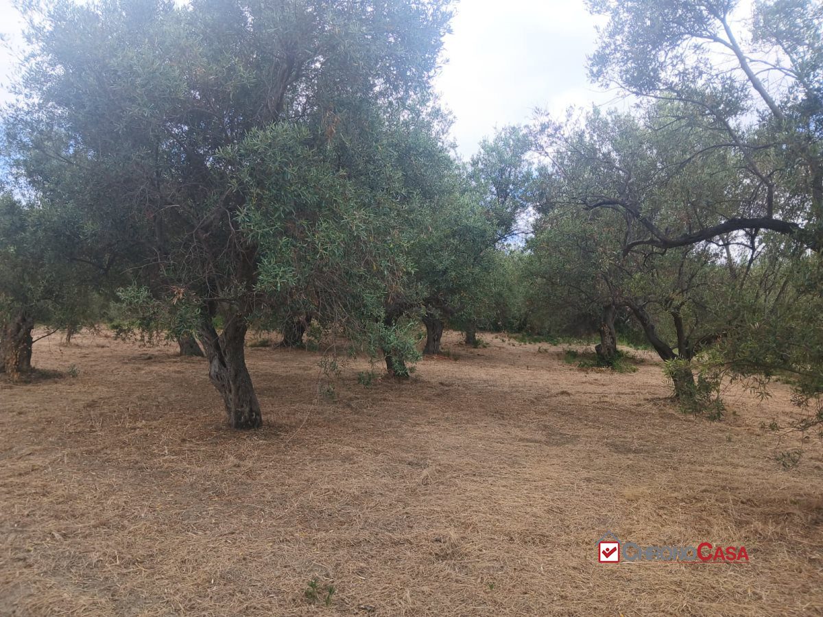 Terreno in vendita a Caltagirone