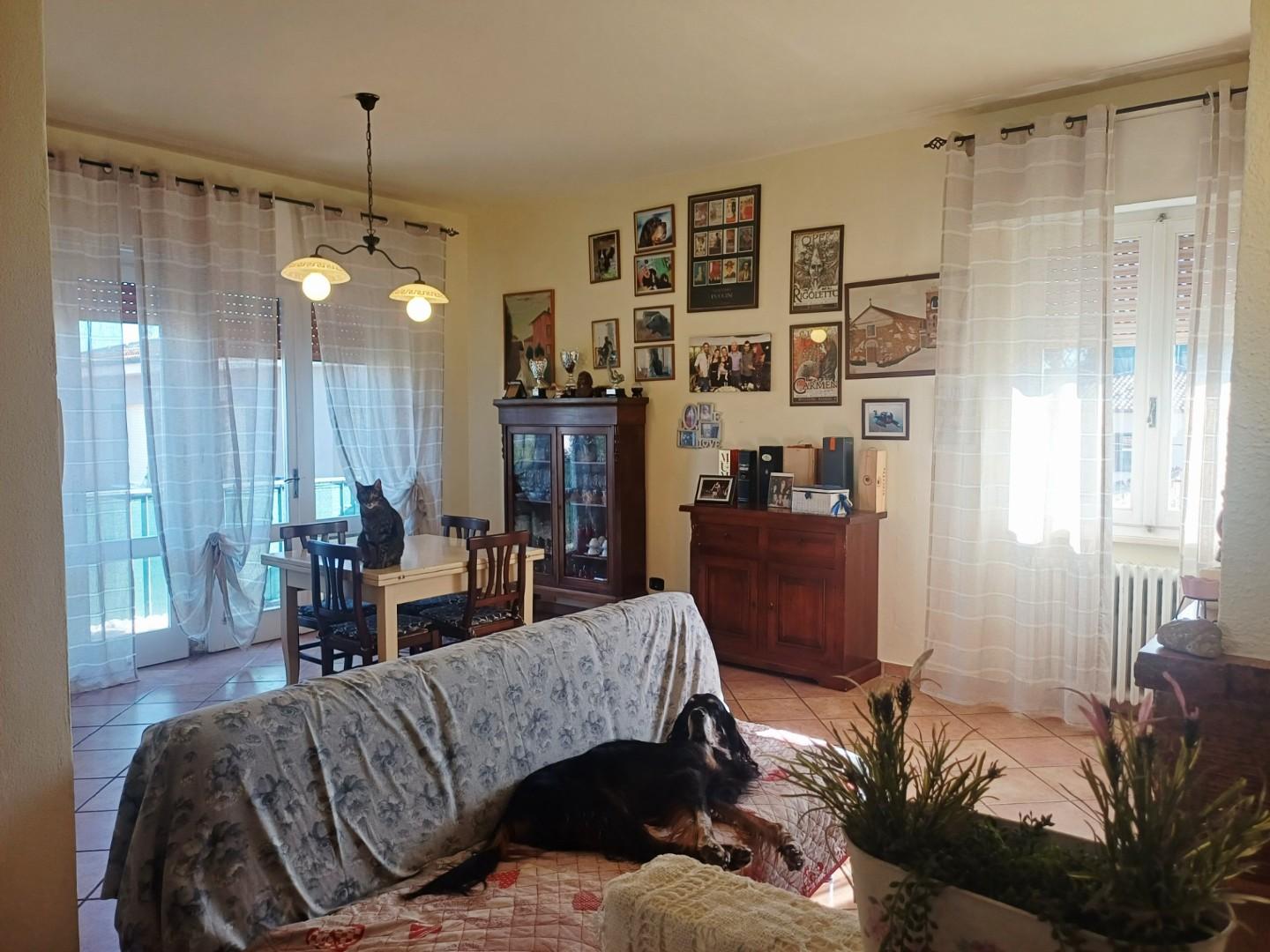 Appartamento in vendita, Cascina san frediano a settimo