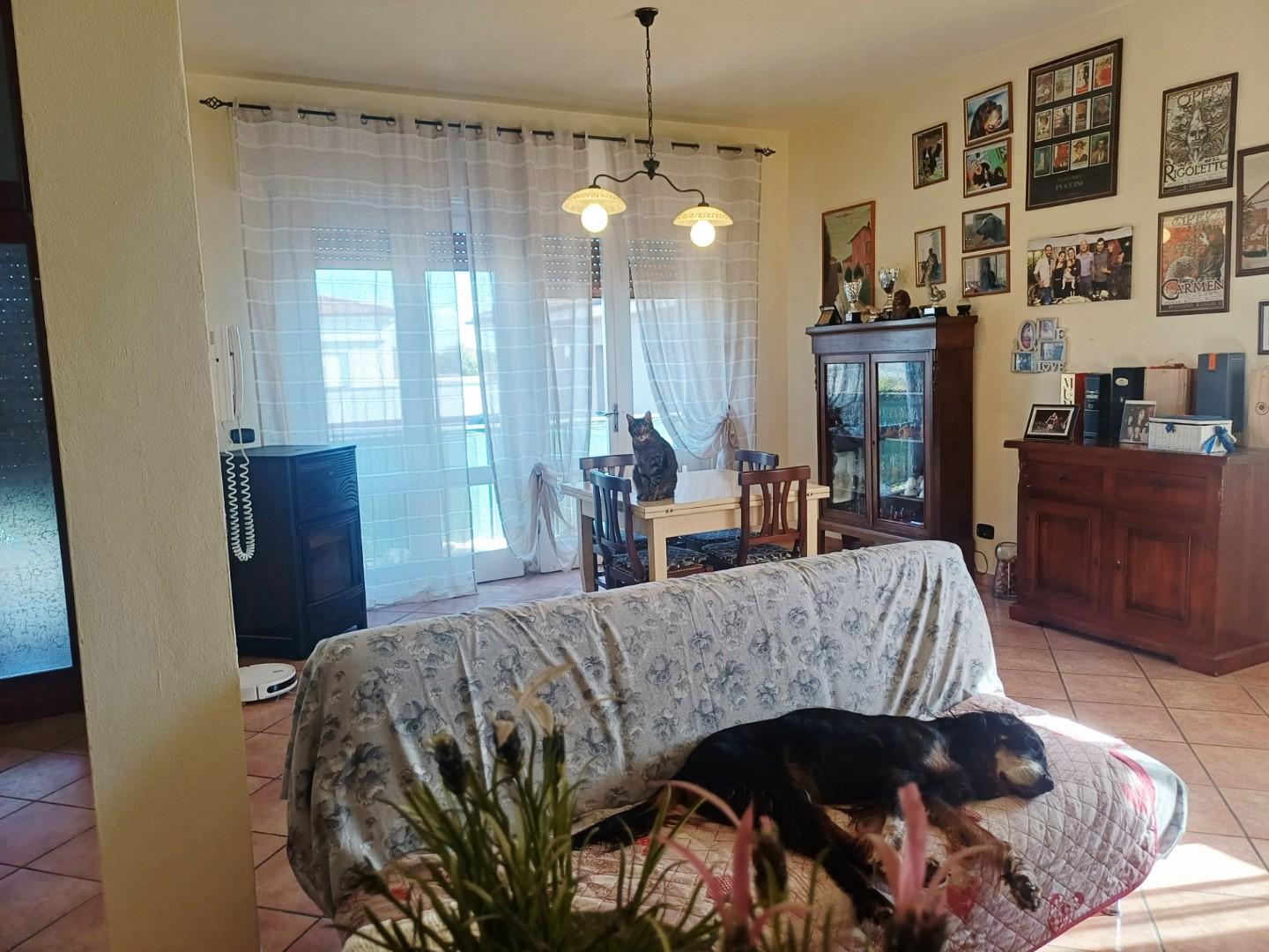 Appartamento in vendita, Cascina san frediano a settimo