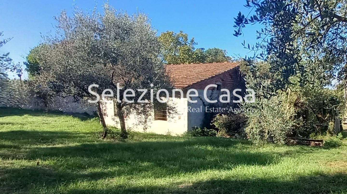 Rustico con giardino, Santa Maria a Monte falorni