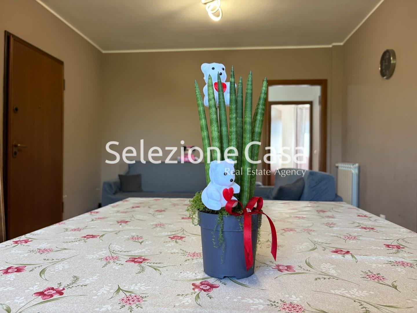 immagine annuncio 4 di 6