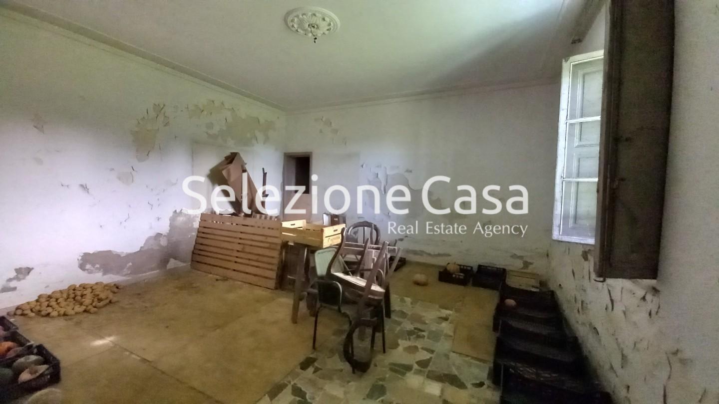immagine annuncio 5 di 6