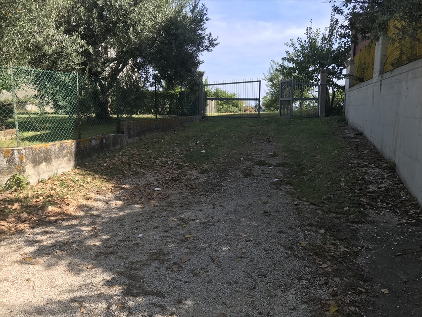 immagine annuncio 4 di 6