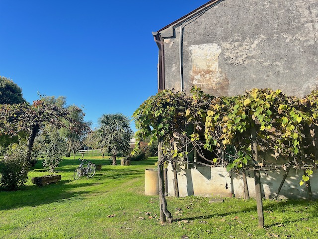 Rustico con giardino a San Biagio di Callalta
