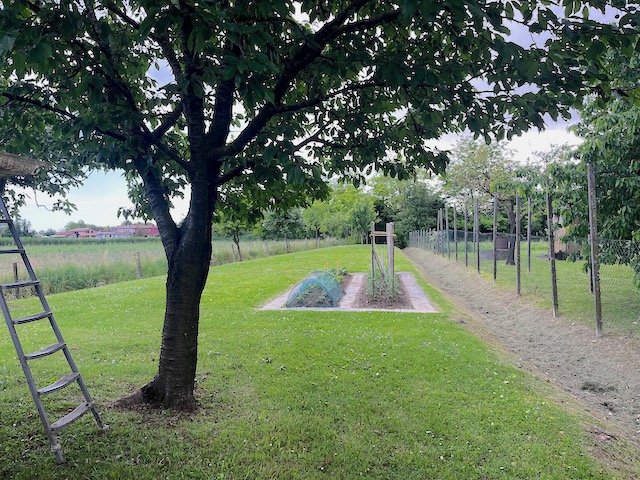 Appartamento in vendita a Salgareda