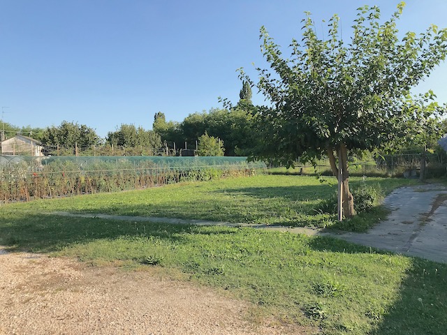 Villa con giardino a Salgareda