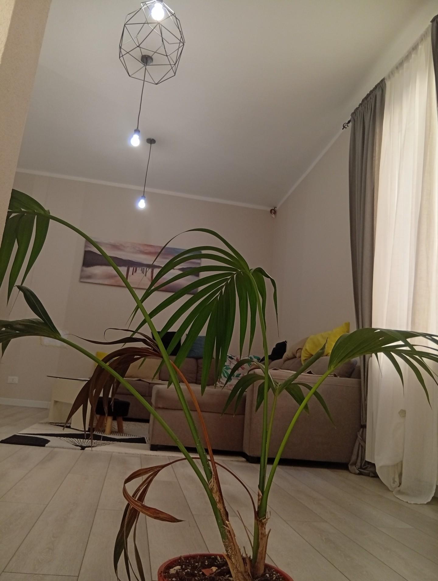 Casa indipendente con terrazzo a Cascina