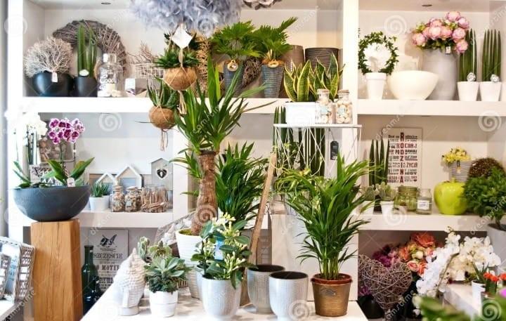 Negozio in affitto, Pisa santa maria