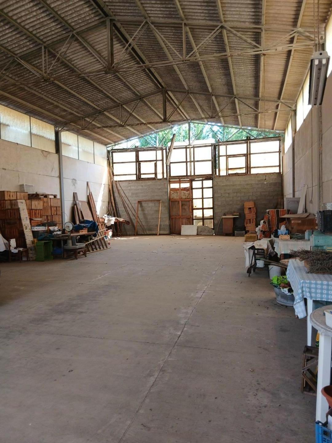 Casa vacanza Bilocale da ristrutturare, Cascina navacchio