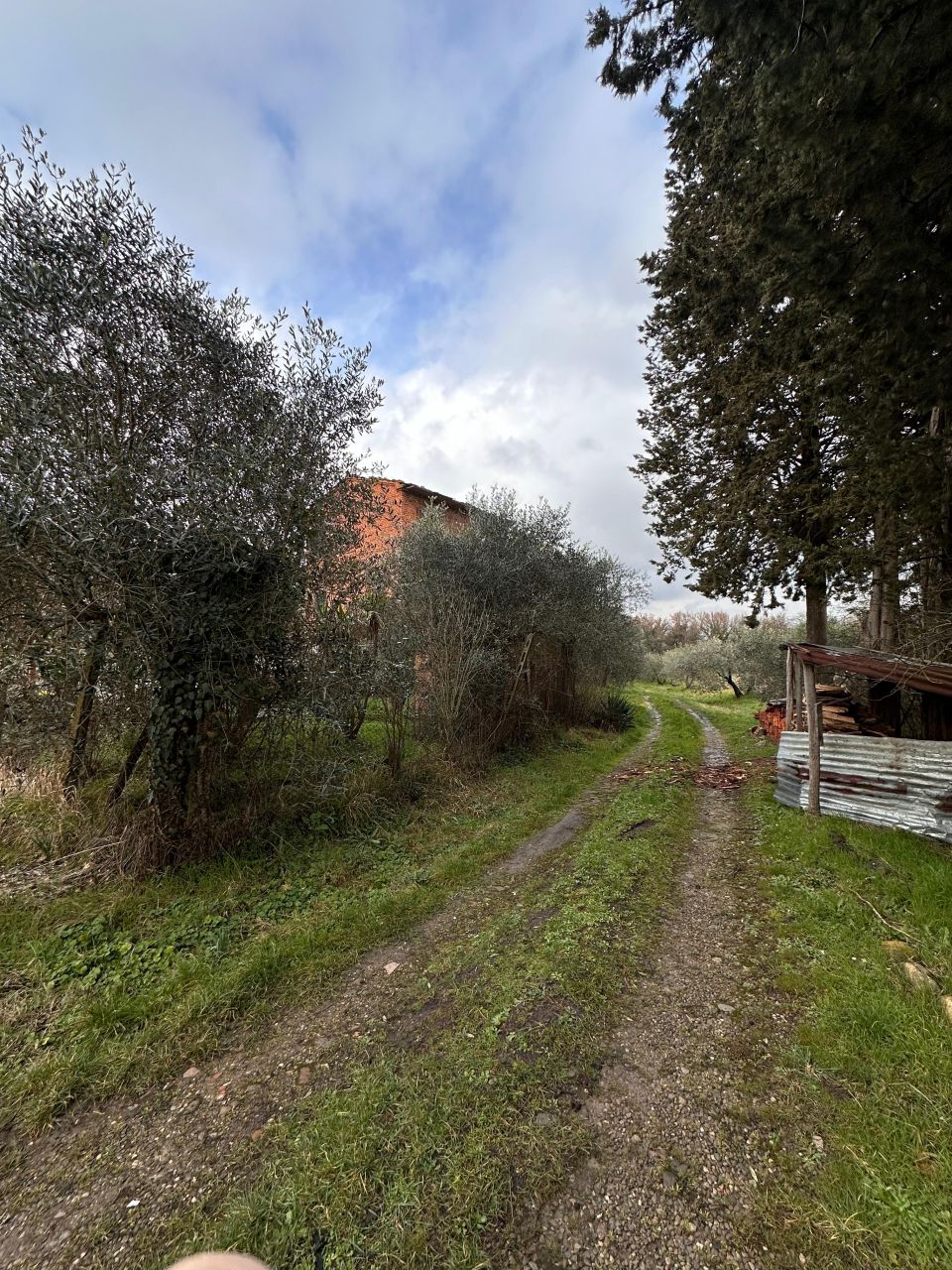 Casa indipendente con giardino a Arezzo