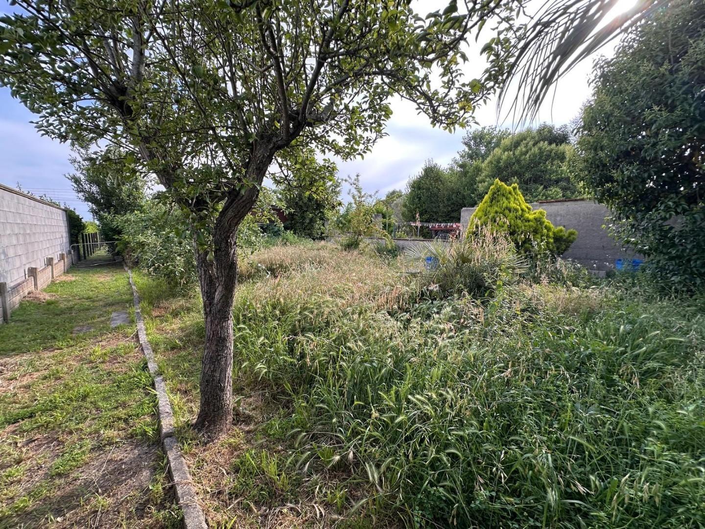 Casa indipendente con giardino, Cascina san prospero navacchio