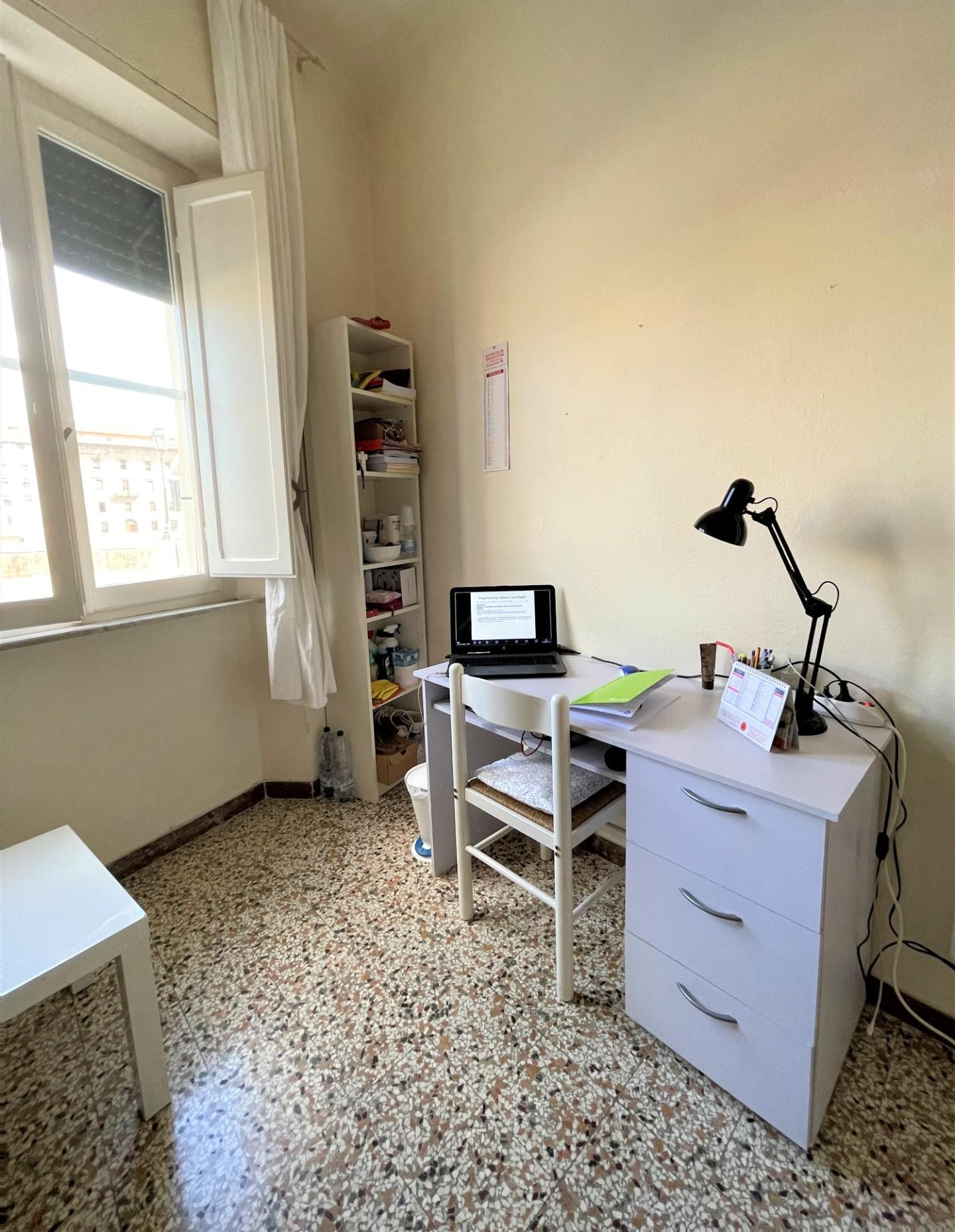 Stanza Singola in affitto, Pisa lungarni