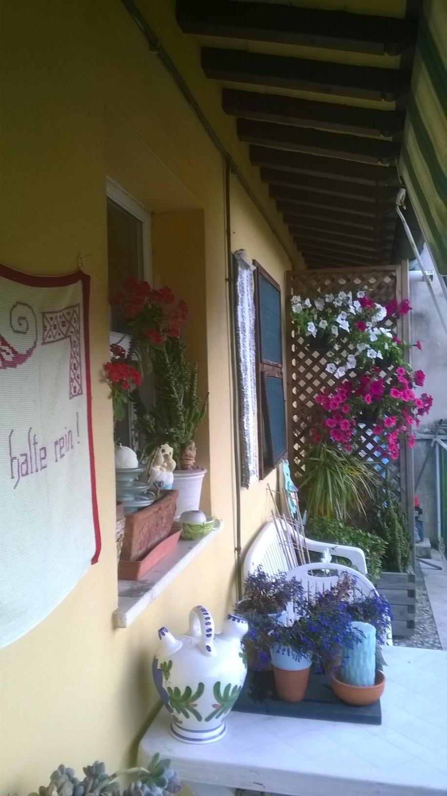 Quadrilocale arredato in affitto, Pisa san martino
