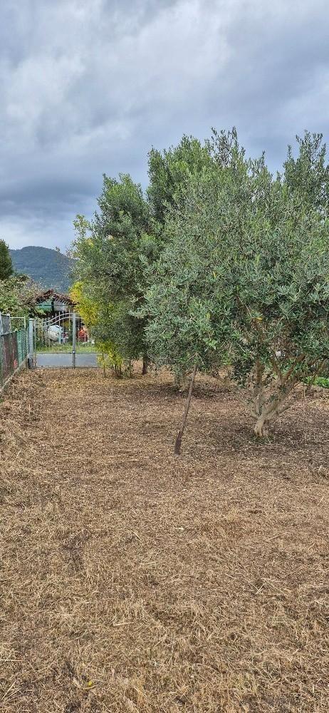 Casa indipendente con giardino, San Giuliano Terme gello