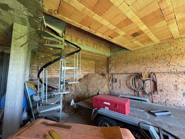 immagine annuncio 5 di 8