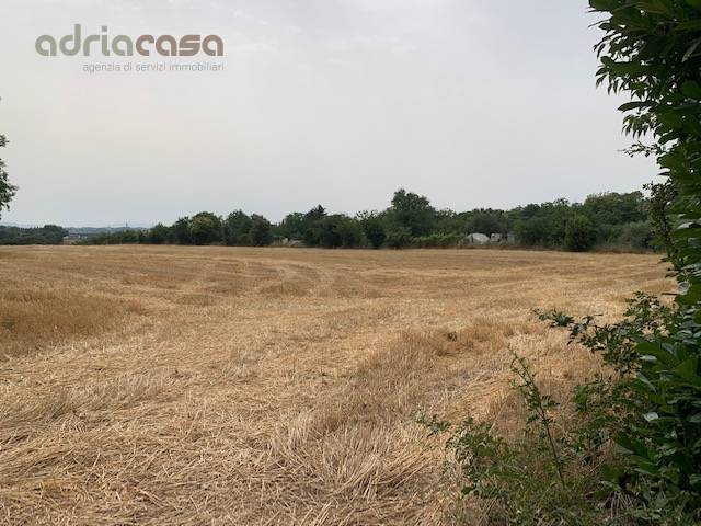 Terreno Agricolo in vendita a Misano Adriatico