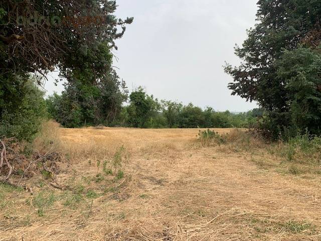 Terreno Agricolo in vendita a Misano Adriatico