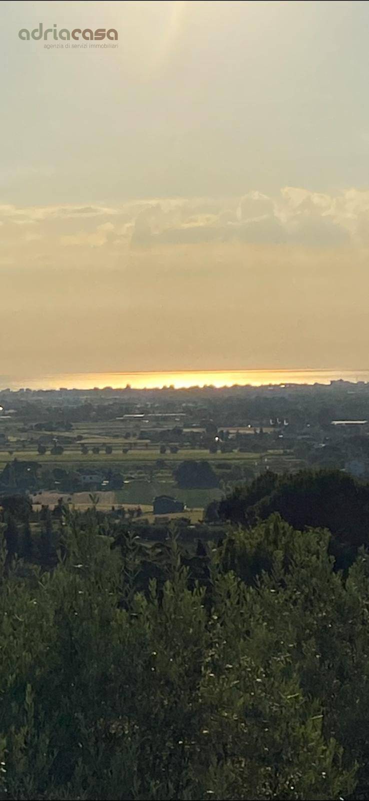 Terreno Agricolo in vendita a Coriano