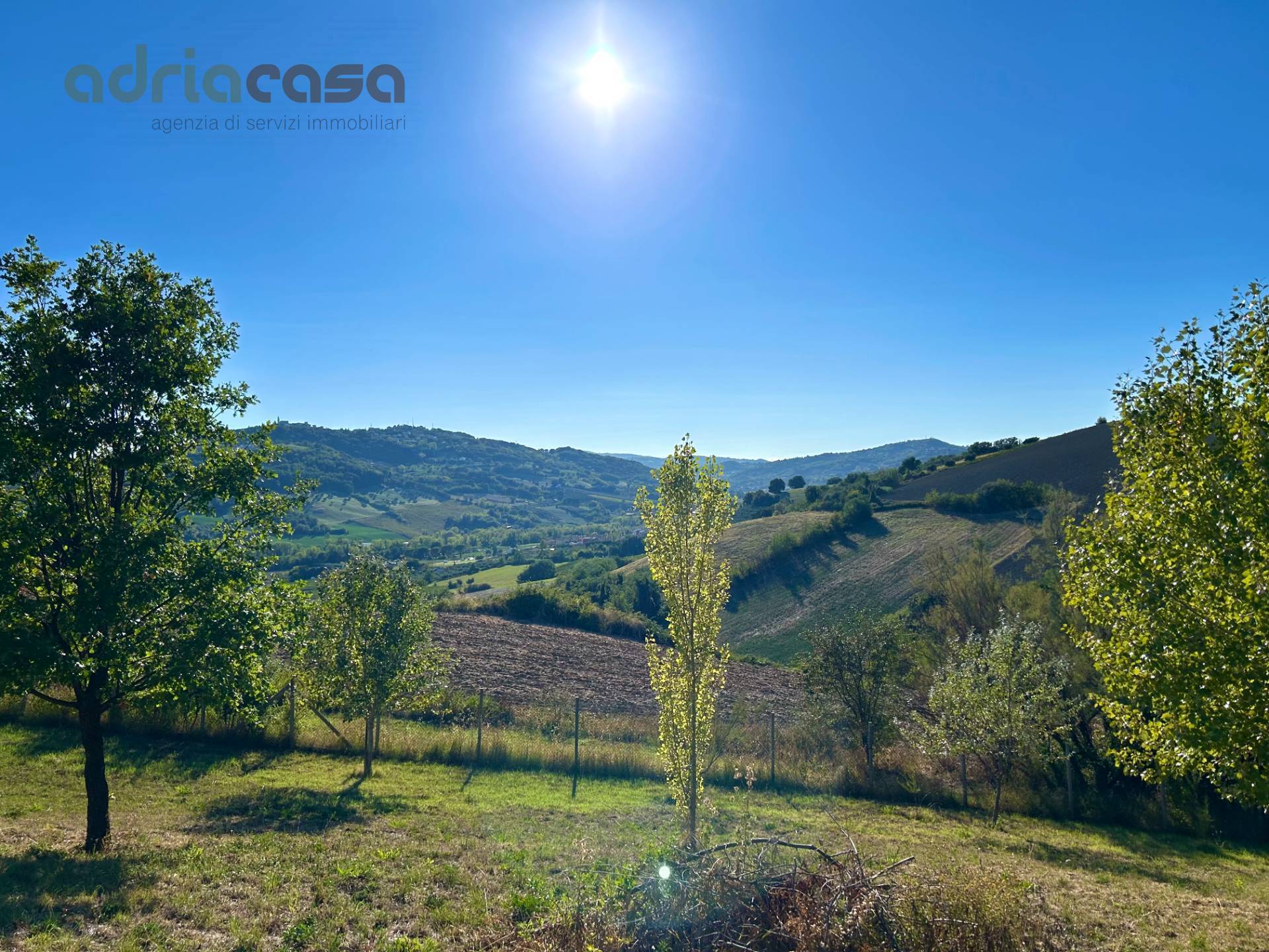 Terreno Agricolo in vendita a San Clemente, Cevolabbate