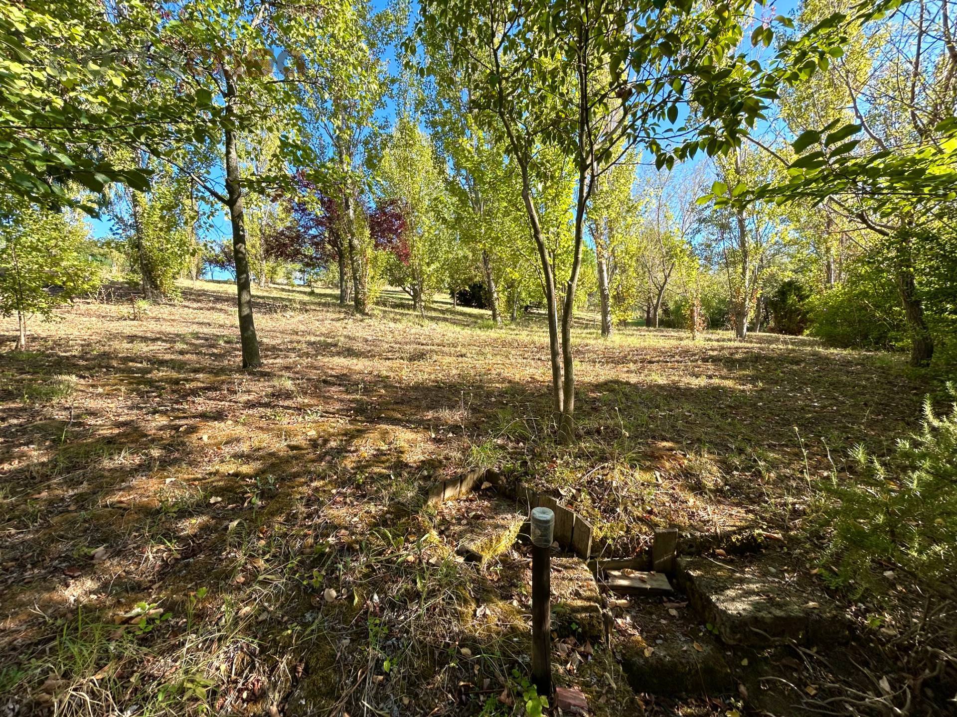 Terreno Agricolo in vendita a San Clemente, Cevolabbate
