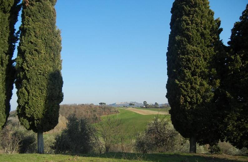 immagine annuncio 2 di 6