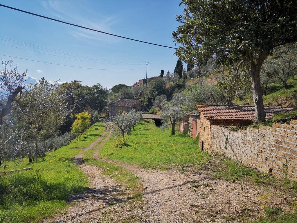 immagine annuncio 4 di 6