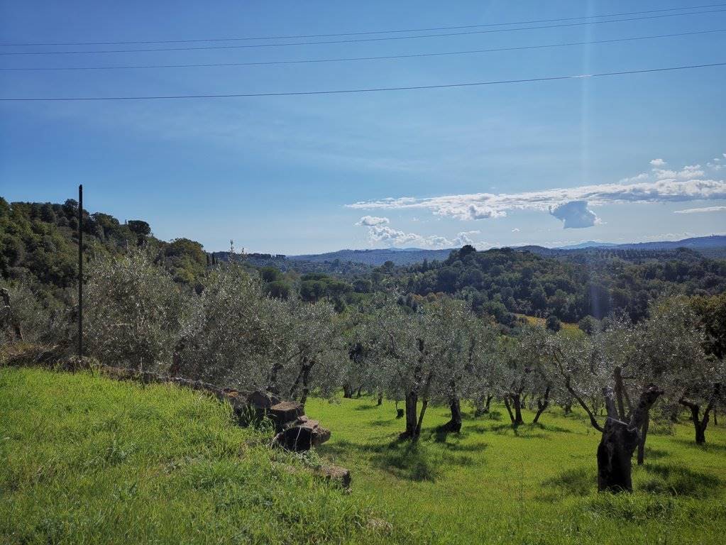 immagine annuncio 5 di 6