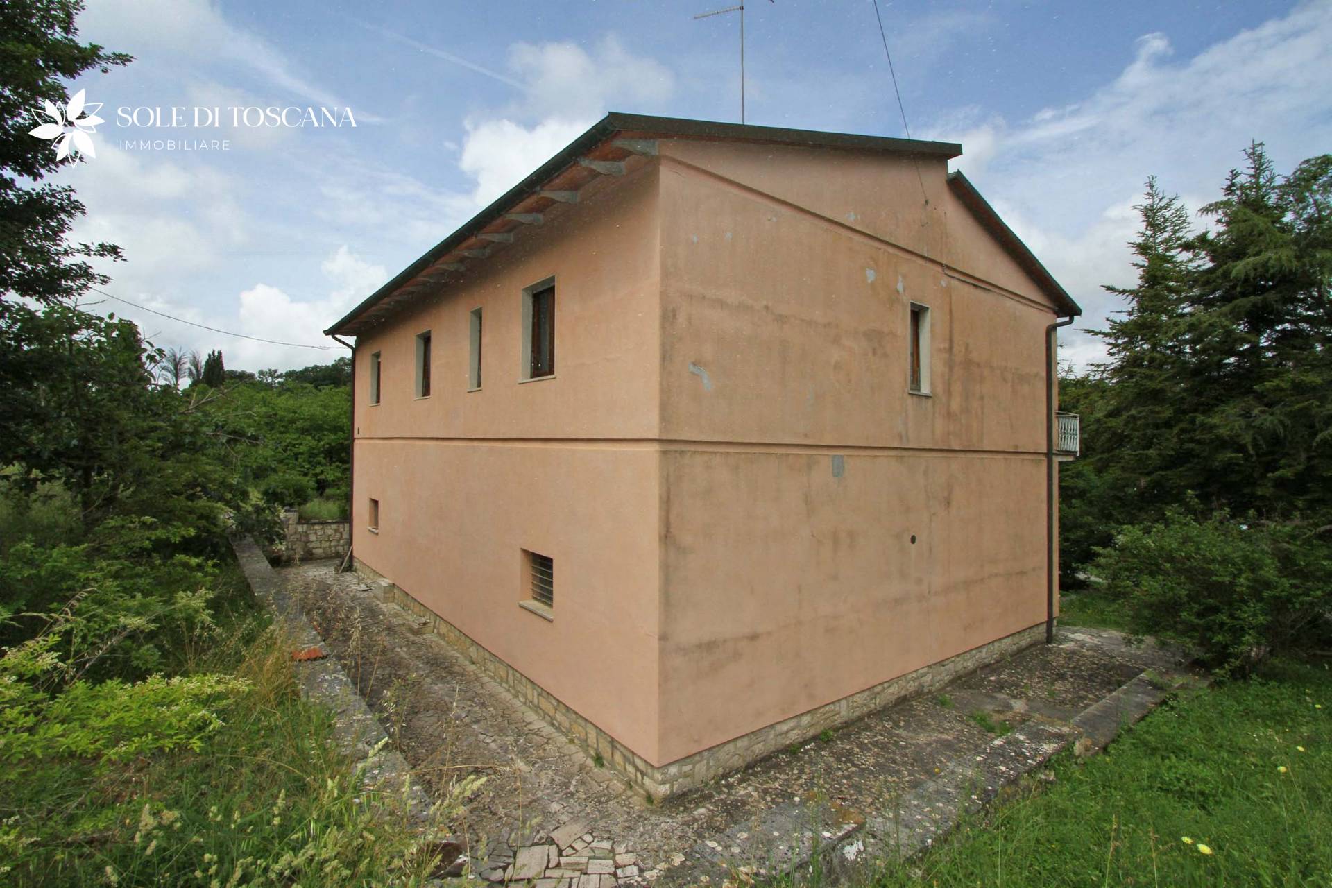 immagine annuncio 5 di 6