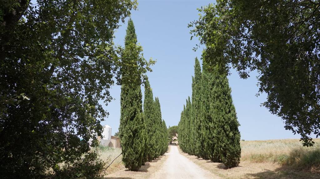 Casale in vendita a Montalcino