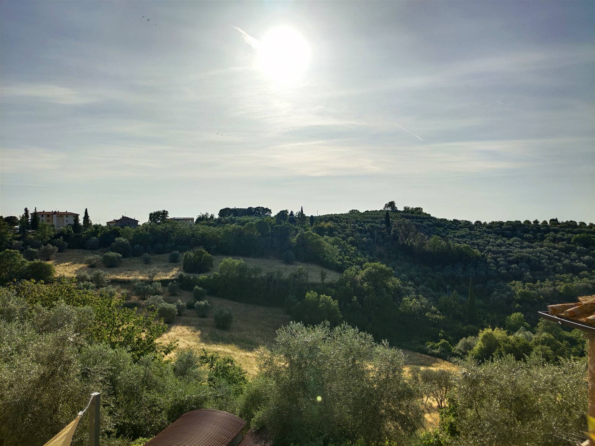 Appartamento indipendente in vendita a Montalcino, Montisi