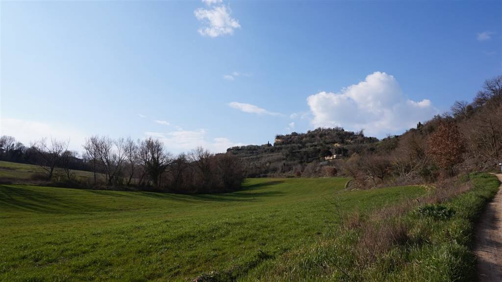 Casale in vendita a Montepulciano, Montepulciano Capoluogo