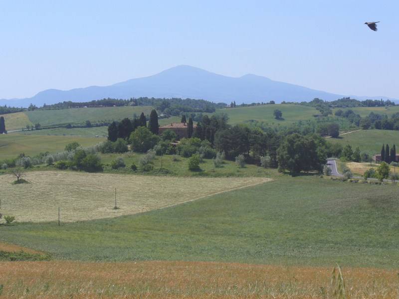 Casale in vendita a Torrita di Siena