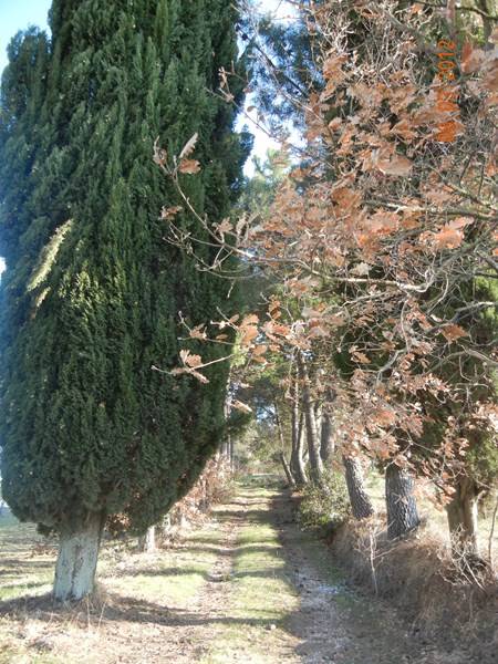 Casale in vendita a Torrita di Siena