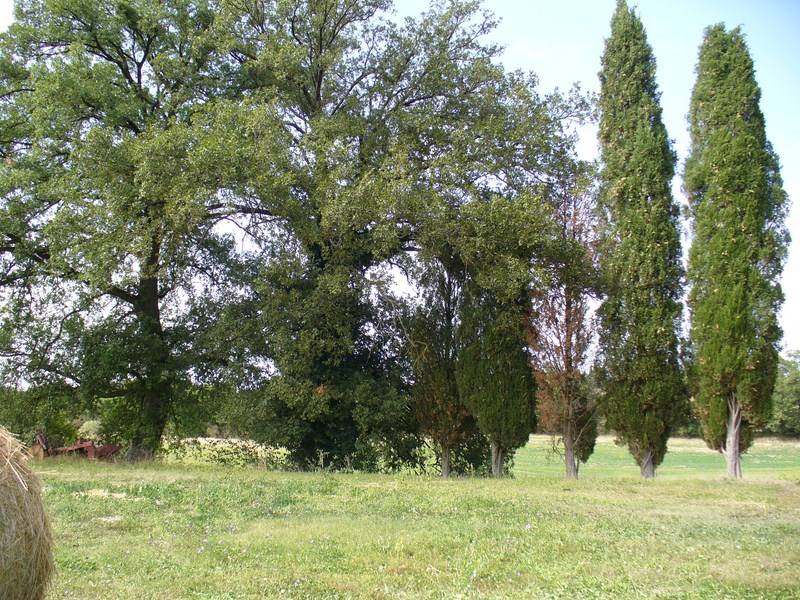 Casale in vendita a Torrita di Siena