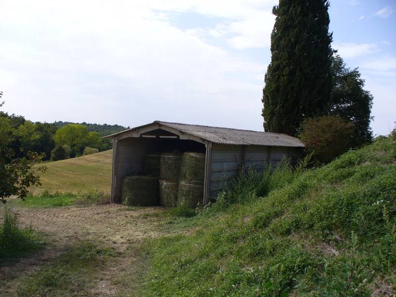 Casale in vendita a Torrita di Siena