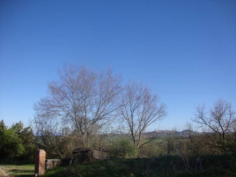 Casale in vendita a Torrita di Siena