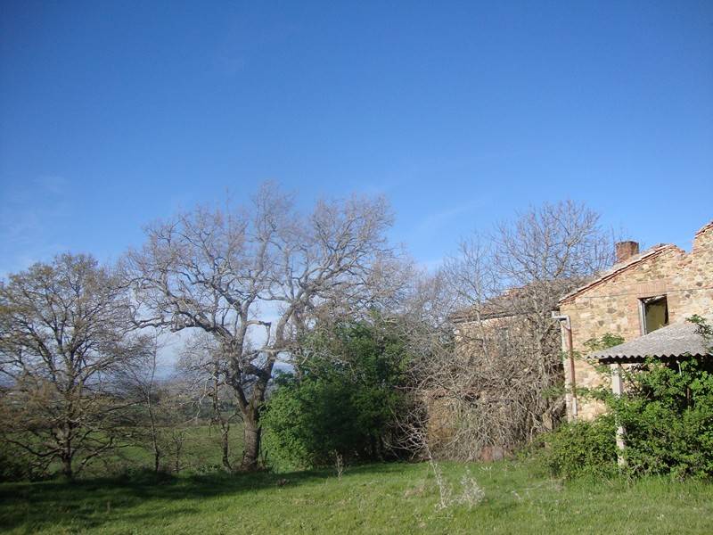 Casale in vendita a Torrita di Siena